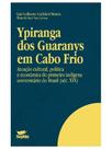 Ypiranga dos guaranys em cabo frio: atuação cultural, política e econômica do primeiro indígena univ