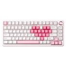 YUNZII B75 PRO Teclado Mecánico Inalámbrico 75% con Interruptores Milk y RGB