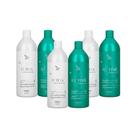 Zap All Time Organic 3 Kits (2 X 1 Litro)