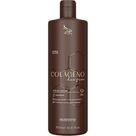 Zap Colágeno dos Fios - Escova Progressiva CollagenoPlastia 500ml
