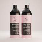 Zap Cosméticos Kit Mega Repair Color 2x1L (Shampoo + Condicionador)