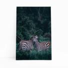 Zebras Floresta Natureza Fotografia Quadro Canvas 60X40Cm