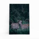 Zebras Floresta Natureza Fotografia Quadro Canvas 60x40cm