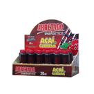 Ziin Ziin Arretado Energético Guaraná/Açaí Display 24x20ml