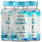 Zinco Quelato Bariasys 60 Caps Imunidade E Cicatrizacao para bariátricos 500mg