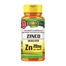 Zinco Quelato ZN 60 Cápsulas de 600mg Zinco Quelato ZN 60 Cápsulas de 600mg