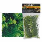 Zoomed planta plastica malaysian fern pq bu-13 - un