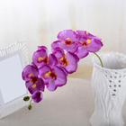 1 Haste De Orquídea Artificial Silicone Para Decorações 69cm