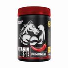 1 pré treino pumonew 300g frutas amarelas - Vitamin Horse