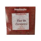 1 Sachê Perfumado Aromatizador Flor Cerejeira de Gaveta Armário Roupa Estante Prateleira - Envio Já