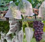 100 Saco Organza Protege Fruta No pé Lavável para fruta uva