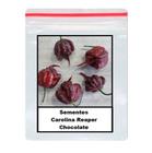 100 Sementes Carolina Reaper Chocolate - proseed