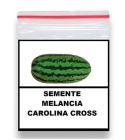 100 Sementes De Melancia Gigante Carolina Cross - SEEDS