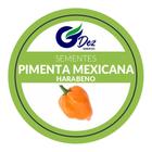 100 Sementes De Pimenta Mexicana Habanero - SEEDS