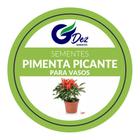 100 Sementes De Pimenta picante para vaso - SEEDS