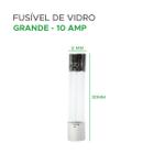 100x Fusível De Vidro 6x30 Grande 10 Amp - Green