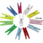 1020 Mini Pregador Prendedor Madeira 2,5Cm Organizador Clip