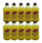 10x Cera Liquida Carnauba Produto Brilho Carro Pintura 500ml - Protec