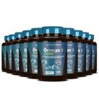 10X Omega 3 Concentrado 120 Caps Hf Suplementos