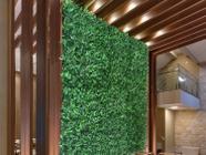 12 Painéis Rico em Folhas Permanentes com Desconto por Quantidade Jardim Vertical Artificial