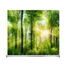 150 * 130CM Lingxia Floresta Verde Floresta Ambiental Proteção Ambiental Impressão de tapeçaria Decoração de parede de fundo Decoração de parede pendurada Tapeçarias Decorativas - HTTN