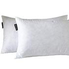 16X26 Oblong Feather & Down Pillow Insert, Tecido 100% Algodão, Conjunto de 2, Branco