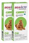 2 Bravecto Cães Transdermal Antipulgas Carrapato 10 Á 20kg