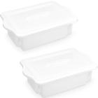2 Caixas Organizadoras de Cozinha com Tampas 10L Cestos Plásticos Empilháveis para Alimentos - Plasvale