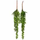 2 Folhagem Verde Planta Jardim Vertical Suculenta Real