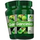 2 Potes Garcínia 100% Natural Kit 240 Cápsulas - Fonte Verde