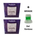 2 Sachê Perfumado Gaveta Armário Cheirinho Lavanda Roupa Meia Calcinha Cueca Senalândia - Envio Já