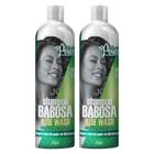 2 Shampoos Hidratantes Soul Power Babosa Aloe Wash 315ml