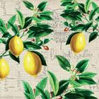20 Guardanapos para Decoupage Ambiente Limão Siciliano