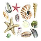 20 Guardanapos para Decoupage Ambiente Shells