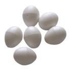 20 x Ovos Indez Branco - Para Calopsita Ring Neck e Pixarro - N5 - Unidade - Animalplast