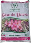 2kg Substrato para Rosas do Deserto Mogifertil