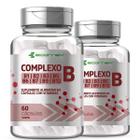 2Potes Complexo B B1 B2 B3 B5 B6 B7 B9 B12 + Biotina 500mg 120Cáps Ecomev