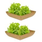 2un Saladeira Quadrada 2,9 Lt Vasilha Petisqueira Marrom Cl - Evo