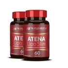 2x Atena Lipo Slim Hf Suplements 60 Caps Cada - HF SUPLEMENTOS