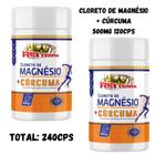 2x Cloreto de Magnésio + Cúrcuma 500mg 240cps