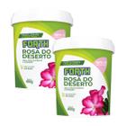 2X Fertilizante Mineral Misto p/Rosa do Deserto (400g) FORTH