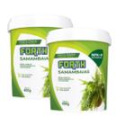 2X Fertilizante Mineral Misto para Samambaias (400g) FORTH