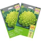 2X Sementes de Couve-Brócolis Romanesco Ottobrino Super ISLA