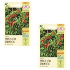 2X Sementes de Pimenta Etna Ornamental ISLA