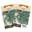 2X Sementes de Sálvia TOPSEED