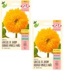 2X Sementes Girassol Dourado Sungold ISLA