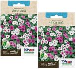 2X Sementes Vinca Anã Sortida TOPSEED