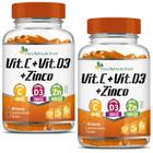 2x Vitamina C + Vitamina D3 + Zinco 60 Caps Flora Nativa