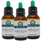 3 Açafrão da Terra - Extrato 60ml