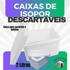 3 Caixas de Isopor EPS 2 litros para sorvetes e medicamentos - Mundi Eps